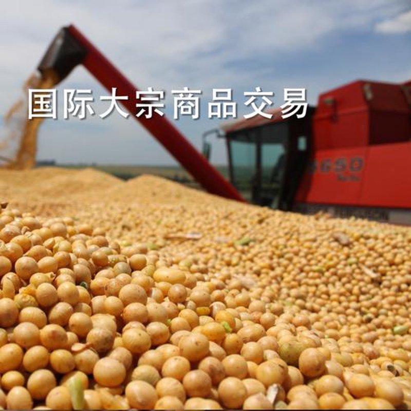 江苏进出口贸易公司的活力与挑战